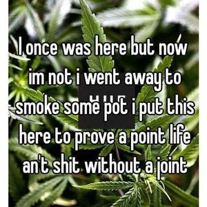 Meet your Posher, Billy